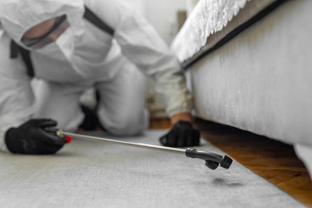 Professional Termite Control technician working in Orono, MN