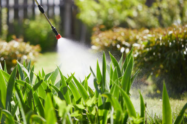 24/7 Emergency Termite Control experts in Orono, MN